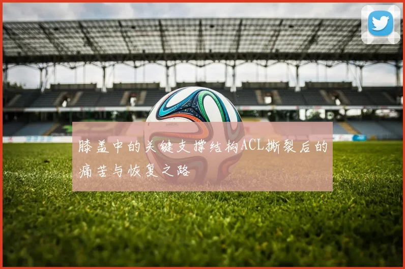 膝盖中的关键支撑结构ACL撕裂后的痛苦与恢复之路